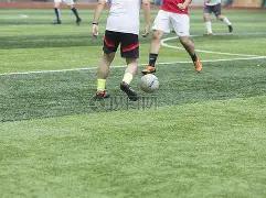 欧洲杯附加,赛揭秘,威尔士冲刺,欧亿体育官网,OUYI,Sports,足球直播,篮球赛事,体育高清,NBA直播