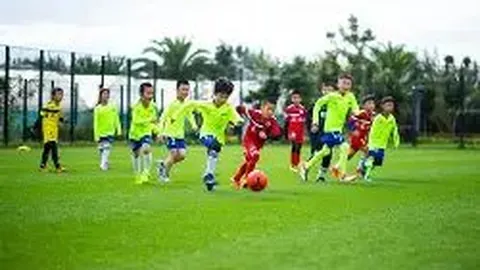 欧亿体育 资讯 133313 o0q