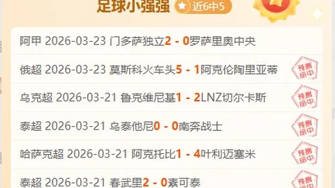 布伦特福德教练科克伦加入图赫尔麾下，身兼双职